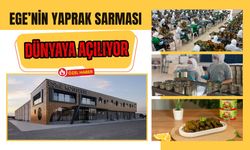 Ege’nin Yaprak Sarması Dünyaya Açılıyor: Uşaklı Firma İhracatta Dikkat Çekiyor
