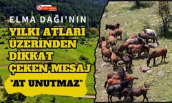 Elma Dağı'nın Yılkı Atları Üzerinden Dikkat Çeken Mesaj, "At Unutmaz"