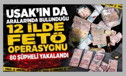 Uşak'ın da Aralarında Bulunduğu 12 İlde FETÖ Operasyonu, 80 Şüpheli Yakalandı