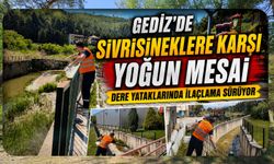 Gediz'de Sivrisineklere Karşı Yoğun Mesai, Dere Yataklarında İlaçlama Sürüyor