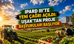 IPARD III’te Yeni Çağrı Açıldı: Uşak’tan Proje Başvuruları Başlıyor