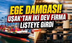 İSO 500'de Ege Damgası! Uşak'tan İki Dev Firma Listeye Girdi