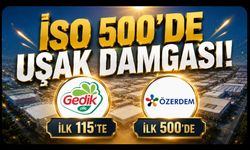 İSO 500'de Uşak Damgası! Gedik Piliç İlk 115'te, Özerdem Mensucat İlk 500'de