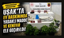 Uşak'ta Ev Baskınında Yasaklı Madde ve Kenevir Ele Geçirildi