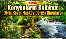 Kanyonların Kalbinde Doğa Şovu, Hasköy Deresi Büyülüyor