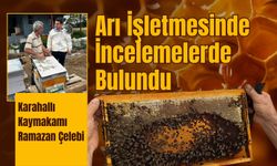 Kaymakam Çelebi, Arı İşletmesinde İncelemelerde Bulundu