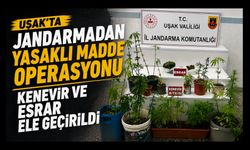 Uşak'ta Jandarmadan Yasaklı Madde Operasyonu, Kenevir ve Esrar Ele Geçirildi