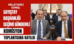 Milletvekili Güneş, Sayıştay Başkanlığı Seçimi Gündemli Komisyon Toplantısına Katıldı