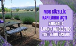 Mor Güzellik Kapılarını Açtı, Karahallı Lavanta Bahçesi’nde Yeni Sezon Başladı