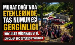 Murat Dağı'nda Eteklerinde Taş Numunesi Gerginliği, Köylüler Müdahale Etti, Savcılığa Suç Duyurusu Yapılıyor