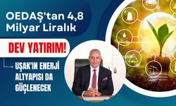 OEDAŞ'tan 4,8 Milyar Liralık Dev Yatırım! Uşak'ın Enerji Altyapısı da Güçlenecek