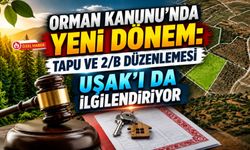 Orman Kanunu’nda Yeni Dönem: Tapu ve 2/B Düzenlemesi Uşak’ı da İlgilendiriyor