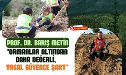 "Ormanlar Altından Daha Değerli, Yasal Güvence Şart"