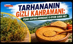 Tarhananın Gizli Kahramanı, Uşak Sofralarındaki O Otun Sırrı Ne?