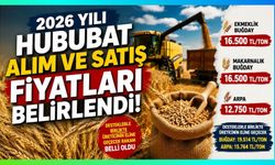 Buğday ve Arpa Fiyatları Açıklandı! Üreticinin Eline Geçecek Rakam Belli Oldu