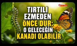 Tırtılı Ezmeden Önce Bir Kez Daha Düşünün! Uzmanlardan Uşaklılara Doğa Uyarısı