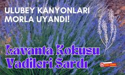 Ulubey Kanyonları Morla Uyandı! Lavanta Kokusu Vadileri Sardı