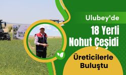 Ulubey'de 18 Yerli Nohut Çeşidi Üreticilerle Buluştu