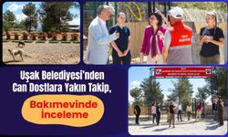 Uşak Belediyesi’nden Can Dostlara Yakın Takip, Bakımevinde İnceleme