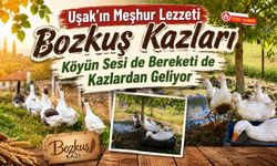 Uşak’ın Meşhur Lezzeti Bozkuş Kazları, Köyün Sesi de Bereketi de Kazlardan Geliyor