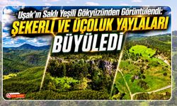Uşak’ın Saklı Yeşili Gökyüzünden Görüntülendi: Şekerli ve Üçoluk Yaylaları Büyüledi