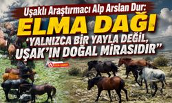 Uşaklı Araştırmacı Alp Arslan Dur: “Elma Dağı Yalnızca Bir Yayla Değil, Uşak’ın Doğal Mirasıdır”