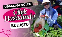 Uşaklı Gençler Çilek Hasadında Buluştu
