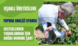 Uşaklı Üreticilere Yaprak Analizi Uyarısı, Desteklerden Yararlanmak İçin Doğru Numune Şart