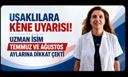 Uşaklılara Kene Uyarısı! Uzman İsim Temmuz ve Ağustos Aylarına Dikkat Çekti