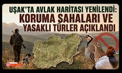 Uşak'ta Avlak Haritası Yenilendi, Koruma Sahaları ve Yasaklı Türler Açıklandı