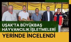 Uşak'ta Büyükbaş Hayvancılık İşletmeleri Yerinde İncelendi