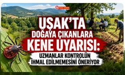 Uşak'ta Doğaya Çıkanlara Kene Uyarısı: Uzmanlar Kontrolün İhmal Edilmemesini Öneriyor
