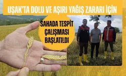 Uşak’ta Dolu ve Aşırı Yağış Zararı İçin Sahada Tespit Çalışması Başlatıldı