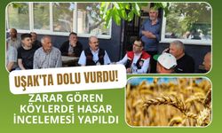 Uşak'ta Dolu Vurdu! Zarar Gören Köylerde Hasar İncelemesi Yapıldı