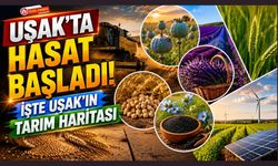 Uşak'ta Hasat Başladı! İşte Uşak'ın Tarım Haritası