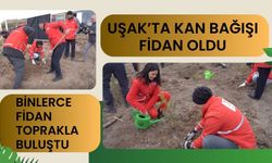 Uşak’ta Kan Bağışı Fidan Oldu: Binlerce Fidan Toprakla Buluştu
