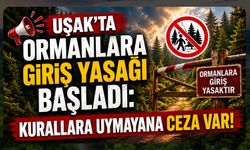 Uşak’ta Ormanlara Giriş Yasağı Başladı: Kurallara Uymayana Ceza Var