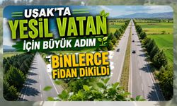 Uşak'ta Yeşil Vatan İçin Büyük Adım, Binlerce Fidan Dikildi