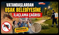 Vatandaşlardan Uşak Belediyesine İlaçlama Çağrısı