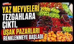 Yaz Meyveleri Tezgahlara Çıktı, Uşak Pazarları Renklenmeye Başladı