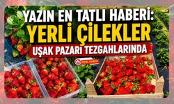 Yazın En Tatlı Haberi, Yerli Çilekler Uşak Pazarı Tezgahlarında