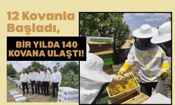 12 Kovanla Başladı, Bir Yılda 140 Kovana Ulaştı! Uşaklı Arıcının Başarısı Dikkat Çekti