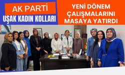 AK Parti Uşak Kadın Kolları, Yeni Dönem Çalışmalarını Masaya Yatırdı