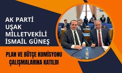 AK Parti Uşak Milletvekili İsmail Güneş, Plan ve Bütçe Komisyonu Çalışmalarına Katıldı