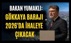 Bakan Yumaklı: Gökkaya Barajı 2026'da İhaleye Çıkacak