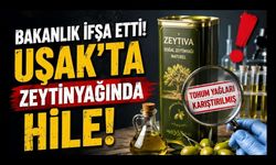 Bakanlık İfşa Etti! Uşak'ta Zeytinyağında Hile Tespit Edildi