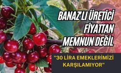 Banaz'lı Üretici Fiyattan Memnun Değil: "30 Lira Emeklerimizi Karşılamıyor"