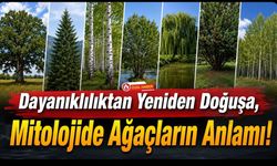 Dayanıklılıktan Yeniden Doğuşa, Mitolojide Ağaçların Anlamı!