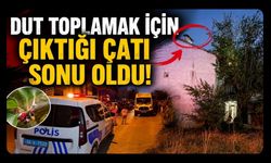 Dut Toplamak İçin Çıktığı Çatı Sonu Oldu! Uşak'ta 57 Yaşındaki Adam Hayatını Kaybetti