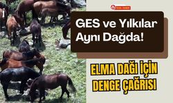 GES ve Yılkılar Aynı Dağda! Elma Dağı İçin Denge Çağrısı